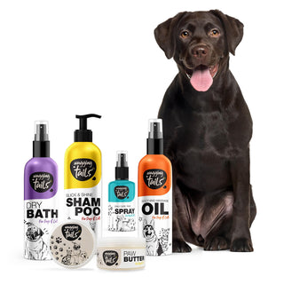 Labrador Retriever Grooming Kit - Head to Paw 5pc Set