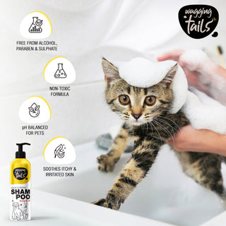 Slick & Shine Shampoo