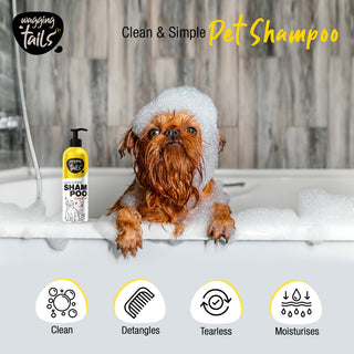 Slick & Shine Shampoo