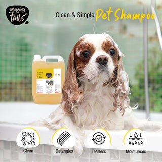 Slick & Shine Shampoo - 5 Ltr