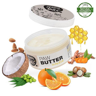 5 in 1 Cat Grooming Kit - All Breed Starter Kit