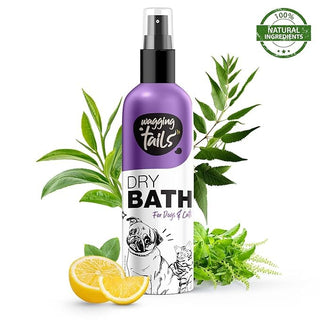 5 in 1 Cat Grooming Kit - All Breed Starter Kit