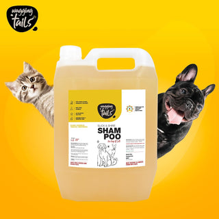 Slick & Shine Shampoo - 5 Ltr