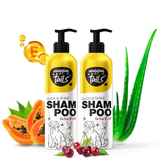 Slick & Shine Shampoo - ( Pack of 2 )