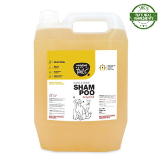 Slick & Shine Shampoo - 5 Ltr