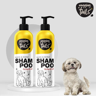 Slick & Shine Shampoo - ( Pack of 2 )