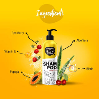 Furshine Bathing Kit - Shampoo & Dry Bath Kit - 200ml + 200ml