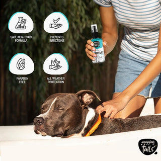 Daily Care Paw Moisturizer Spray - 100ml ( Pack of 2 )
