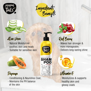 Slick & Shine Shampoo - ( Pack of 2 )