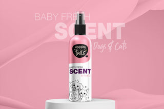 Fragrances