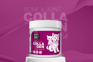 Collagen Bone & Joints