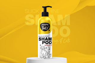 Shampoo