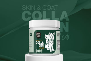 Collagen Skin & Coat