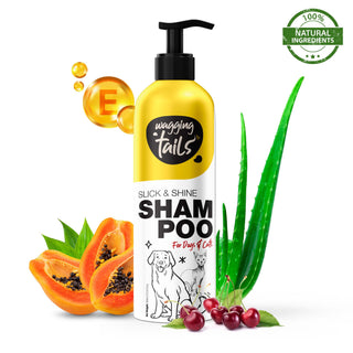 Wagging Tails 5 in 1 Grooming Kit Combo for Pets | Dog Shampoo 400ml+Massage Oil 200ml+Dry Bath 200ml+Paw Butter 50g+Paw Spray 100ml | Made with Natural Ingredients | Head to Paw Gift Box