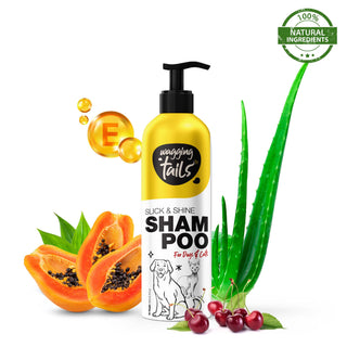 Wagging Tails Pets Grooming Kit Combo for Labrador | 5 in 1 - Head to Paw Gift Box | Dog Shampoo + Massage Oil + Dry Bath + Paw Butter + Paw Spray