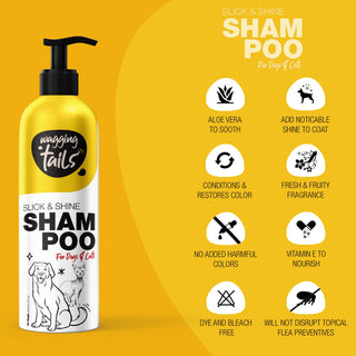 Furshine Bathing Kit - Shampoo & Dry Bath Kit - 200ml + 200ml
