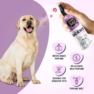 Fur Breeze Perfume Scent - 200ml